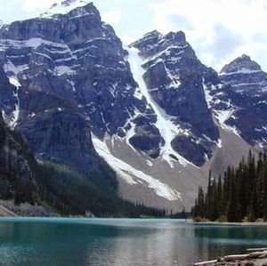 Meet your Posher, Mr. leo